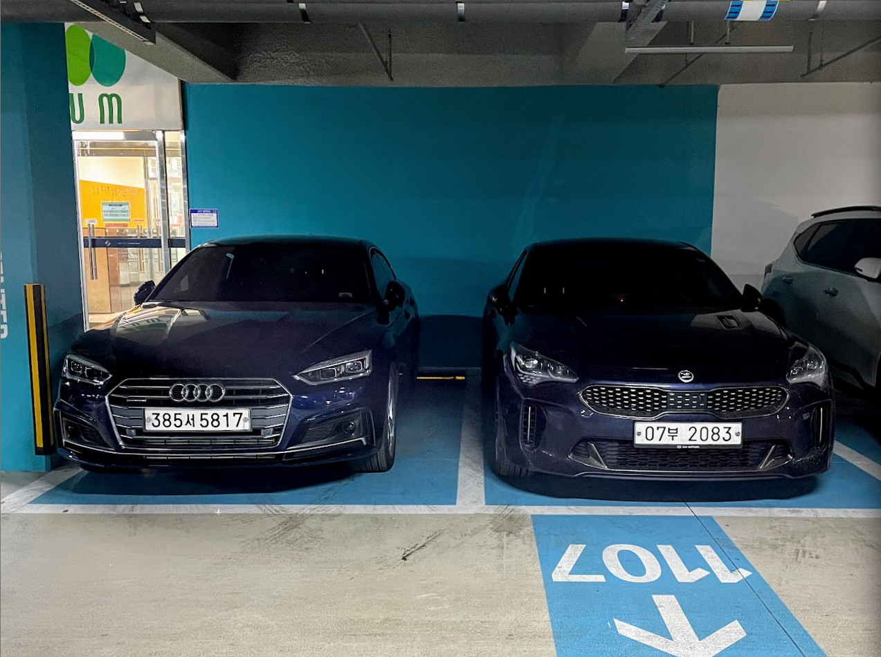 거의 같은 시기에 데려온 A5 45 TFSI 와 스팅어 3.3 GT